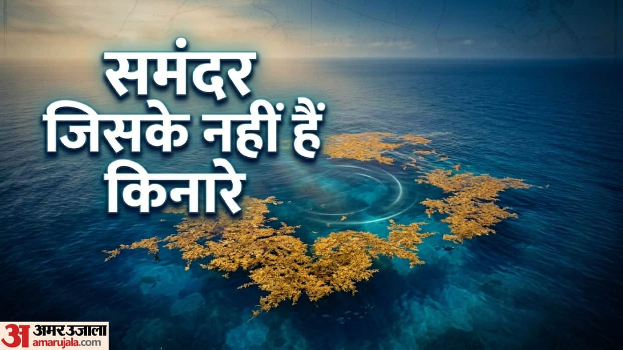 Sargasso Sea only sea on earth with no shores mystery  North Atlantic Ocean