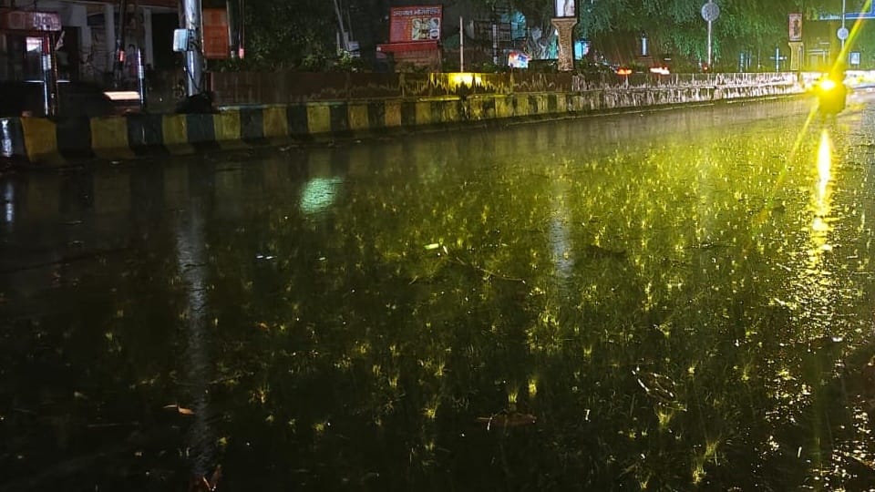 Storm and Rain Knock Out Power in Moradabad; City Plunged into Darkness, Bringing Relief from Scorching Heat