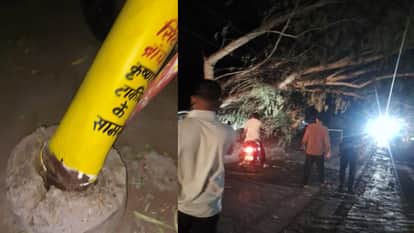 Lalitpur: Late night rain and storm caused trees to fall on 33 KV power lines
