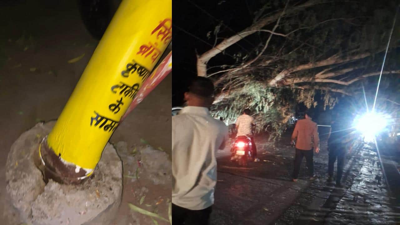 33केवी लाइन पर गिरा पेड़।