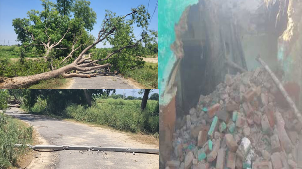 Over 73 electricity poles and trees toppled; more than 150 villages remained in darkness throughout the night