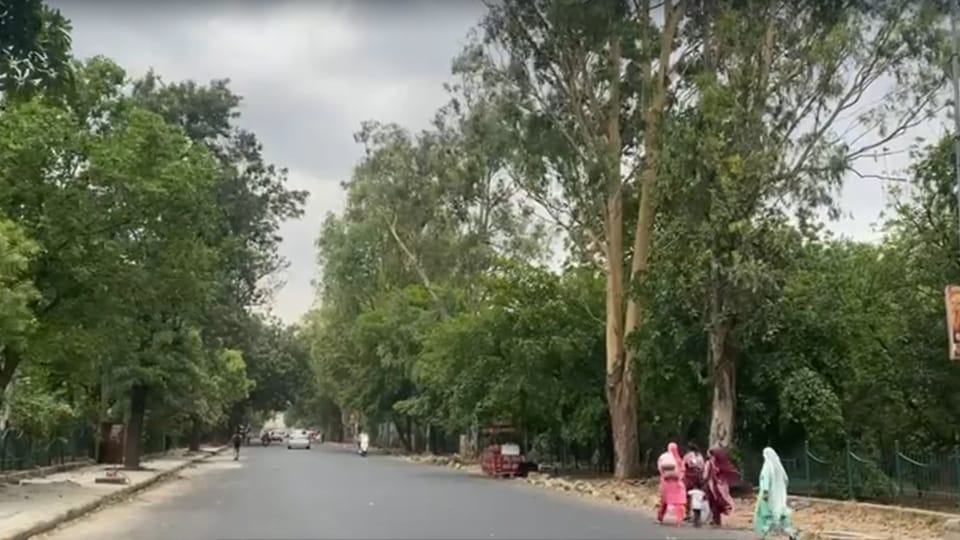 Rain and strong winds bring down temperature in Haryana