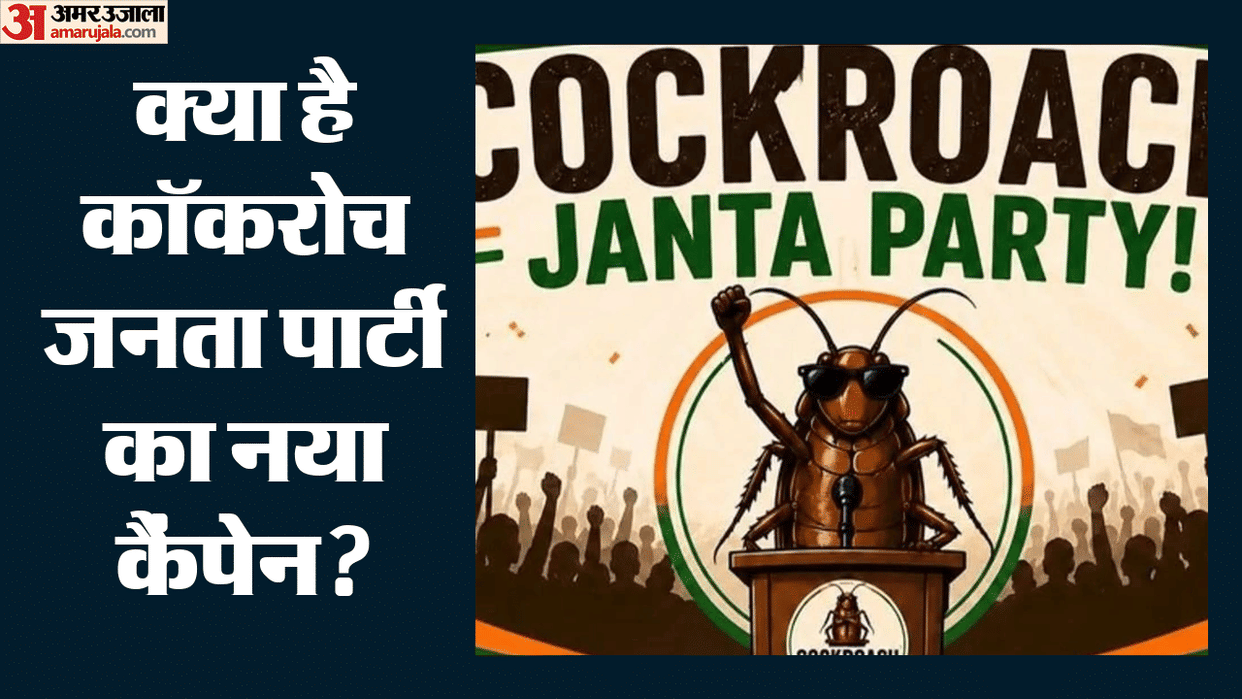 Send pictures of potholes, garbage and faulty streetlights; Cockroach Janta Party will press for action