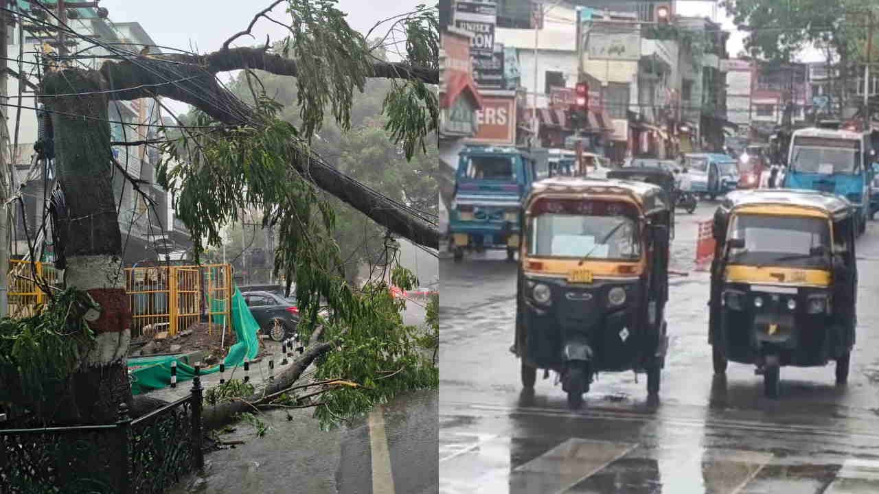 Heavy Rains in Dehradun Trees Uprooted Amidst Strong Winds Vehicles Narrowly Escape Damage Uttarakhand Weather