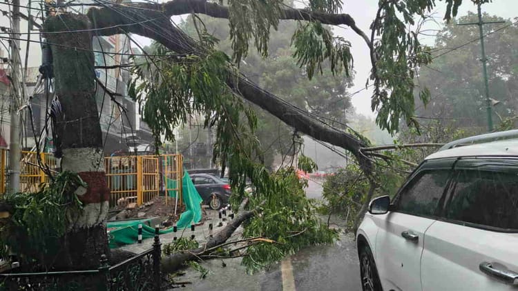 Dehardun Weather: मौसम ने दिखाए तीन रंग...डराया, सताया फिर दी राहत, झमाझम बारिश, तेज आंधी-तूफान से गिरे पेड़