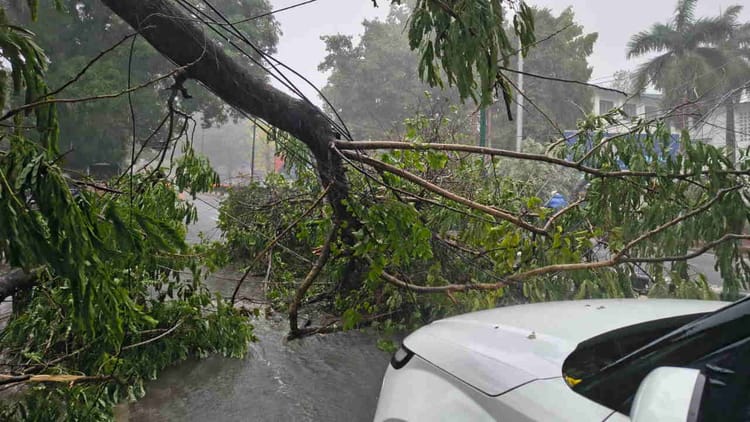 Weather: उत्तर-पश्चिम भारत में 19 जून तक जारी रहेगा बारिश का दौर; धीरे-धीरे बढ़ेगा तापमान