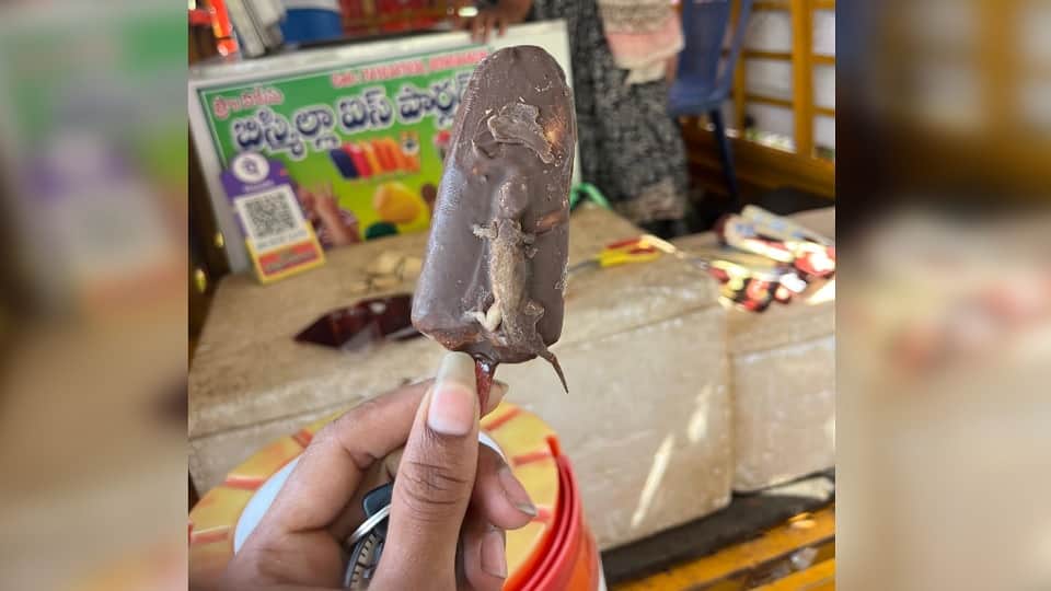Chaos in Errabore After Lizard Found in Ice Cream During Wedding Ceremony