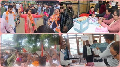 shimla solan mandi palampur dharamshala nagar nigam chunav and jila parishad &bdc election results