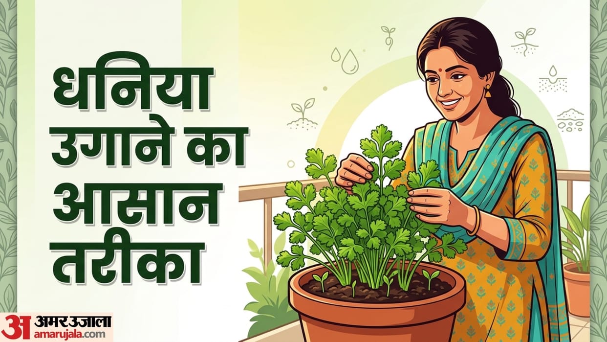 easy tips for coriander Plantation in just 5 days ghar par dhaniya kaise ugayein