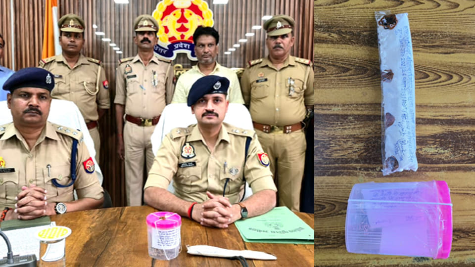 Elderly Aunt Brutally Murdered: Multiple Knife Wounds Inflicted on Neck; Accused Arrested