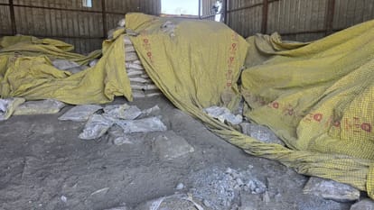 Hamirpur Betwa Bridge Tragedy The Bridge Collapse Could Have Been Averted Had Slab Segments Been Connected