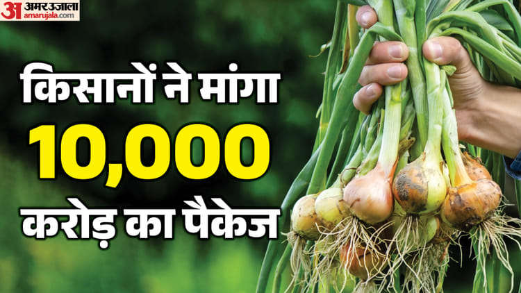 Maharashtra: प्याज किसानों ने केंद्र से मांगा 10,000 करोड़ का राहत पैकेज, सरकार की नीतियों पर उठाए सवाल