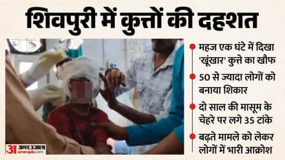 Stray dogs rampage in Shivpuri, attacking over 50 people in an hour, scratching 2-year-old Vedika's
