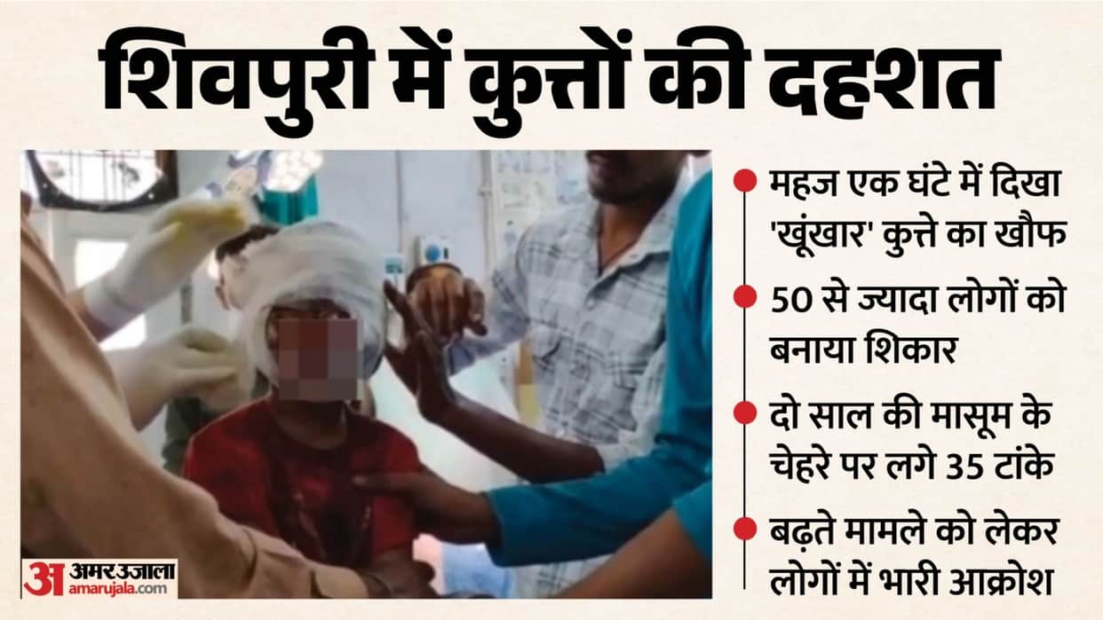 Stray dogs rampage in Shivpuri, attacking over 50 people in an hour, scratching 2-year-old Vedika's