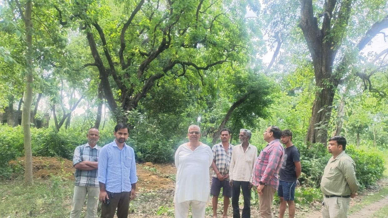 broken electric wire fell into a field killing four cattle in Pilibhit