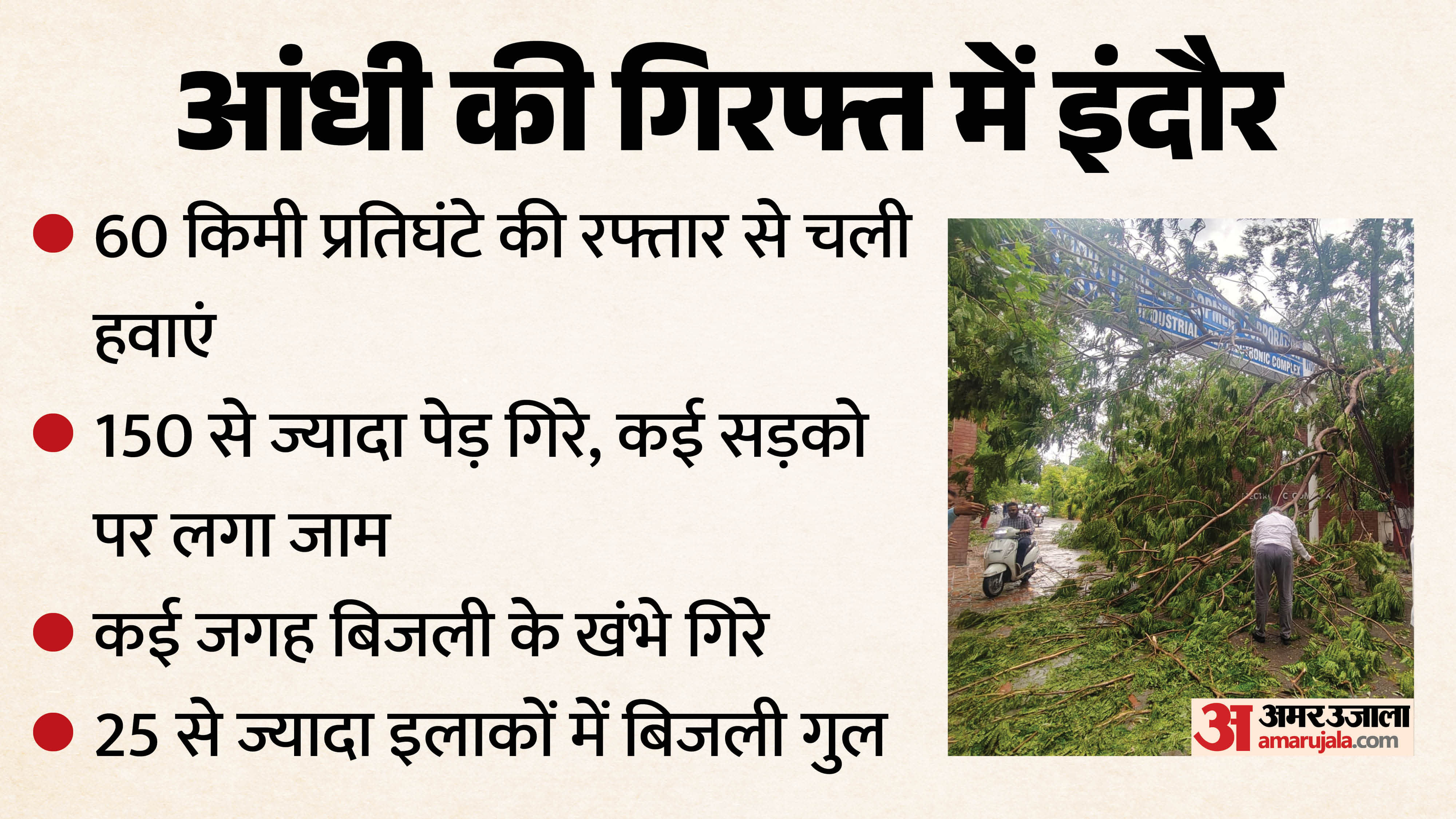 MP Weather Update: Sudden Dust Storm and Strong Winds Sweep Across Malwa Trees Uprooted in Indore
