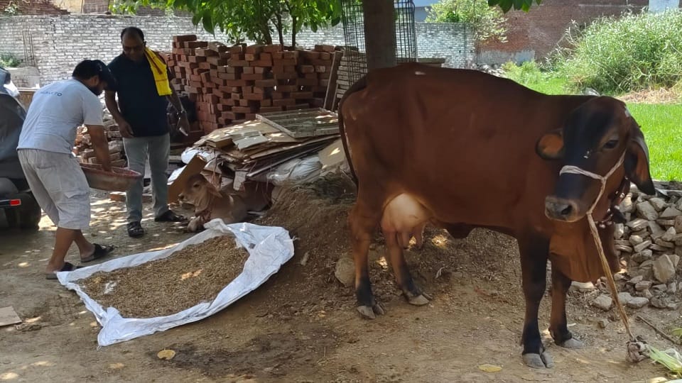 Milk business in Aligarh