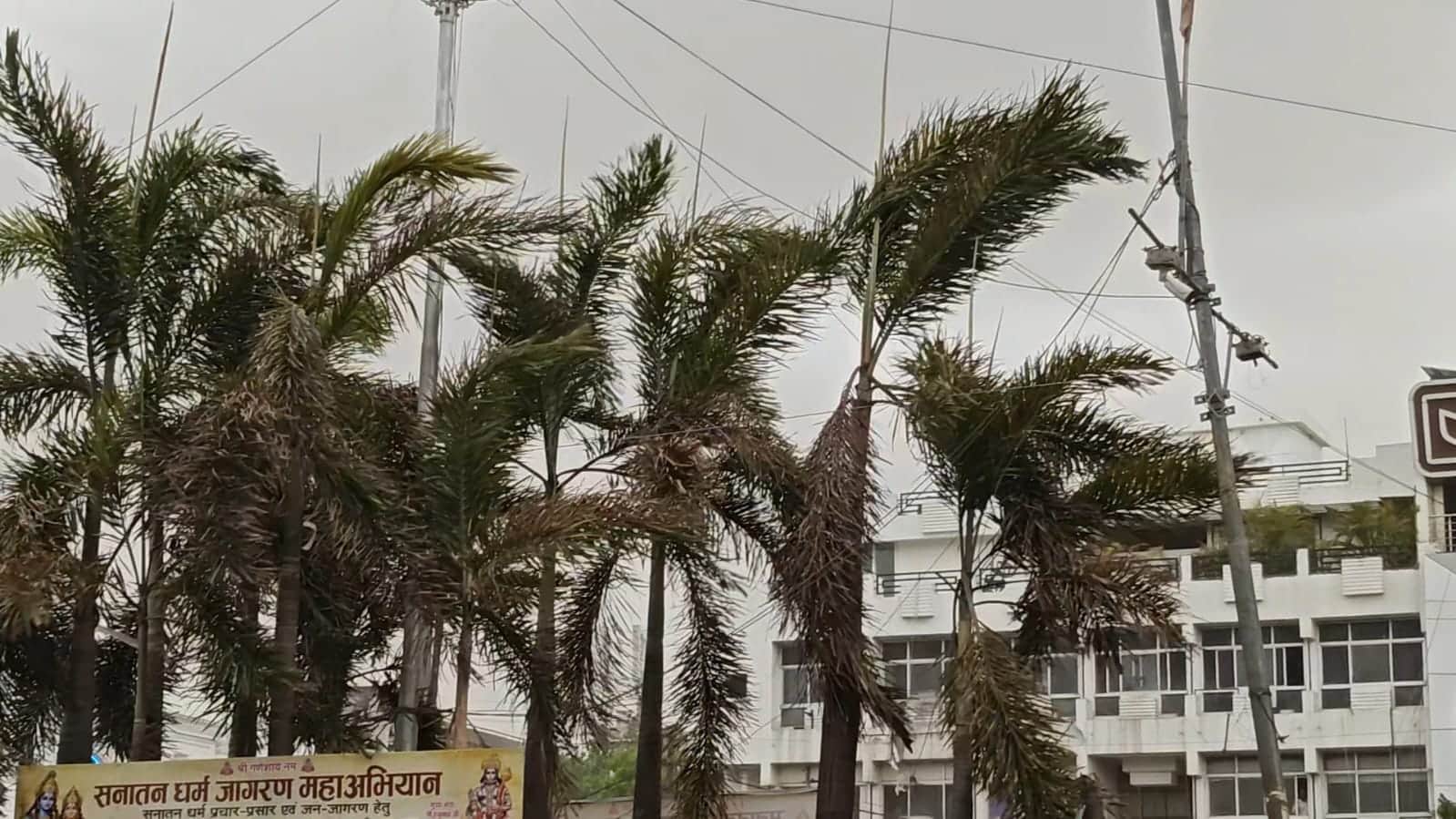 MP Weather Update: Sudden Dust Storm and Strong Winds Sweep Across Malwa Trees Uprooted in Indore