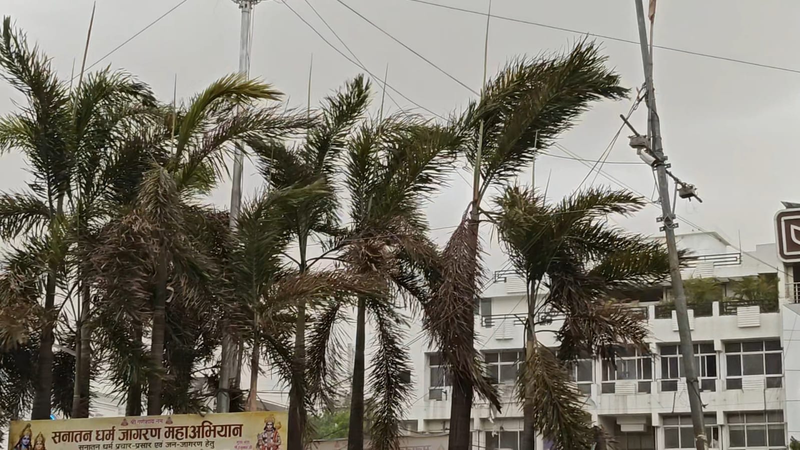 MP Weather Update: Sudden Dust Storm and Strong Winds Sweep Across Malwa Trees Uprooted in Indore