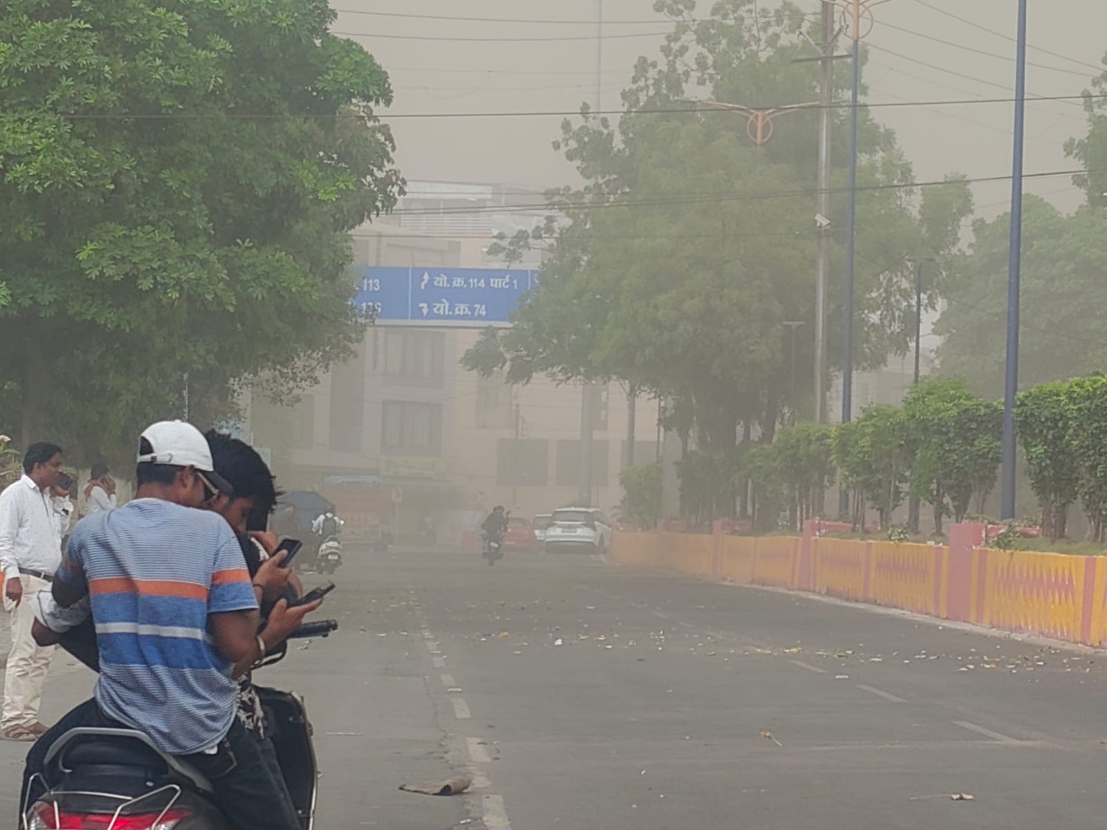 MP Weather Update: Sudden Dust Storm and Strong Winds Sweep Across Malwa Trees Uprooted in Indore