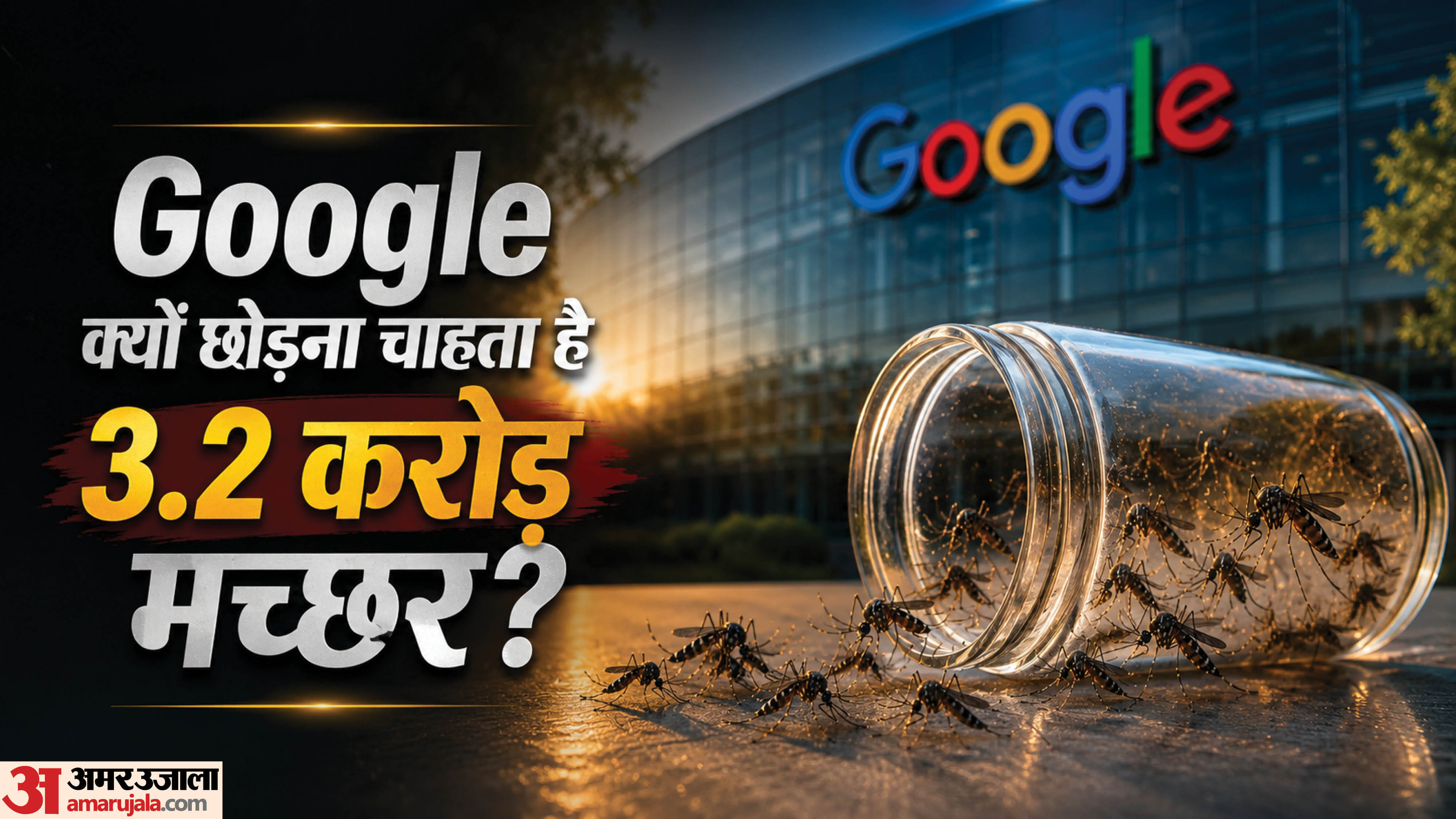 Why Does Google Want to Release 32 Million Mosquitoes Into the Wild?