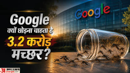 Why Does Google Want to Release 32 Million Mosquitoes Into the Wild?