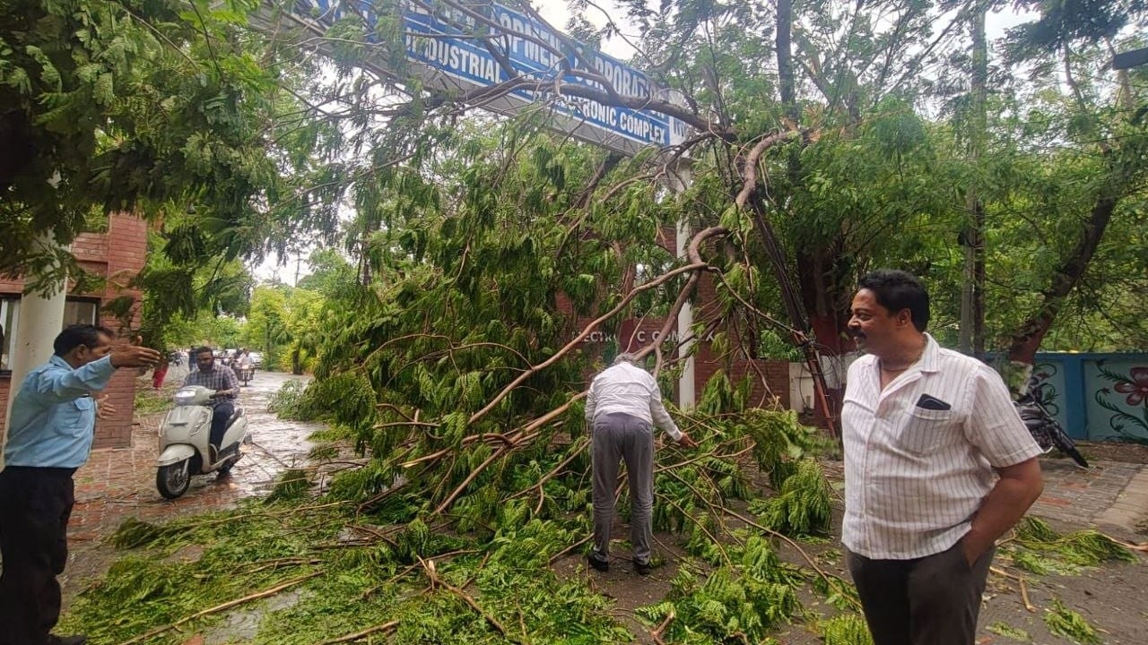कई जगह पेड़ गिरने से बिजली के तार टूट गए।