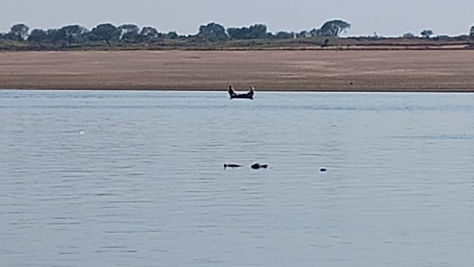 Kanpur Farmer Drowns Strong Current While Bathing in Yamuna Body Recovered After 1.5 Hours
