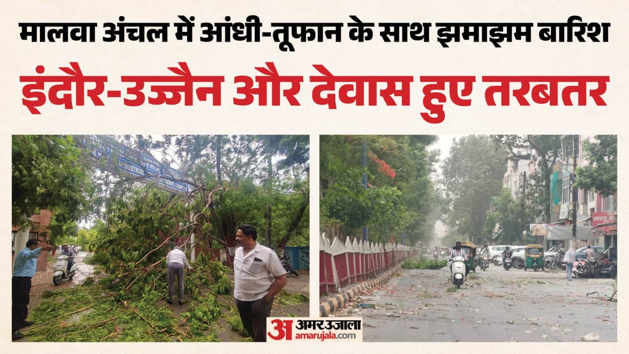 MP Weather Update: Sudden Dust Storm and Strong Winds Sweep Across Malwa Trees Uprooted in Indore