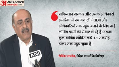 रोबिंदर सचदेव, विदेश मामलों के विशेषज्ञ