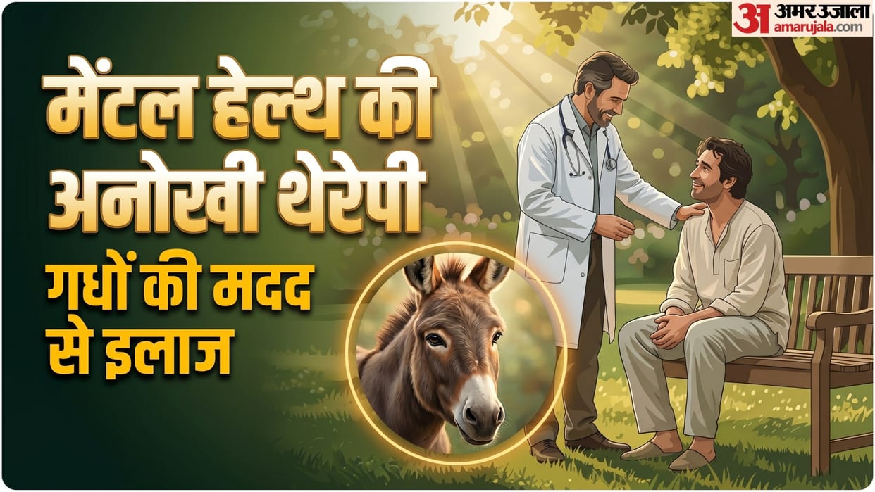 mental health problems worldwide animal medicine Therapy donkeys helping patients with anxiety depression