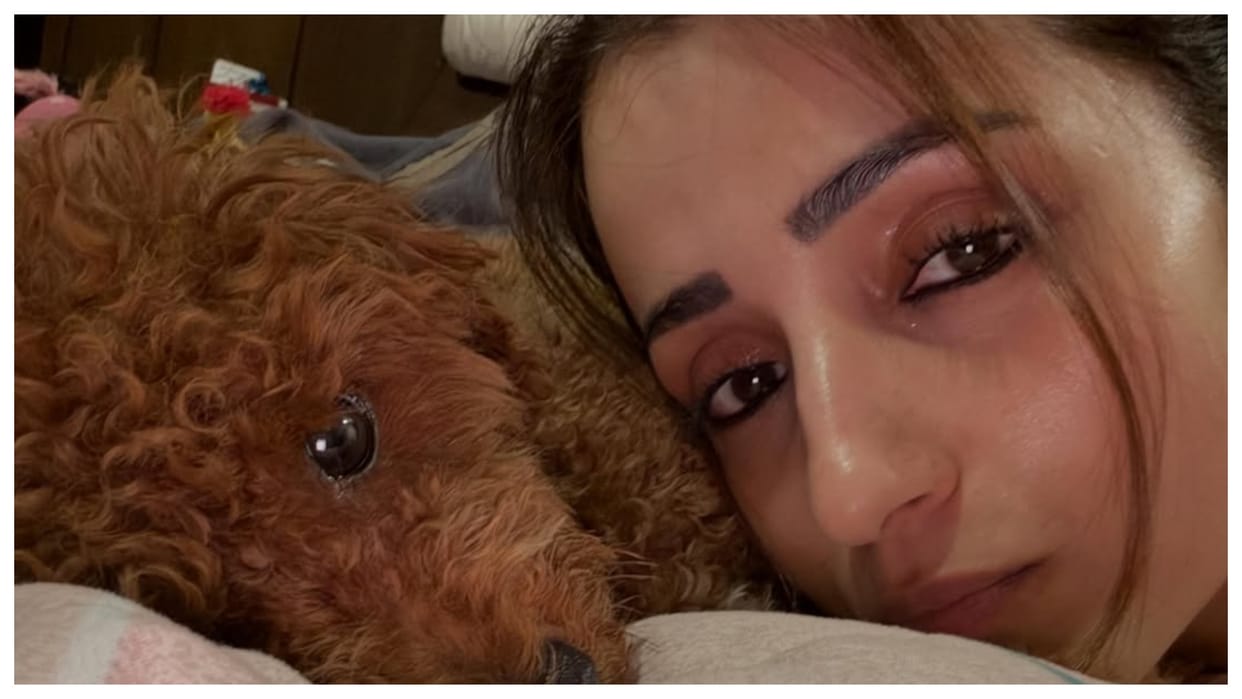 Trisha Krishnan slammed trollers for her rumoured relationship with Vijay with a cryptic note