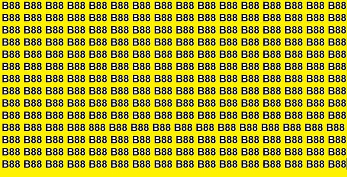 Optical Illusions: There is 888 in This Optical Illusion Can You Find in 15 seconds