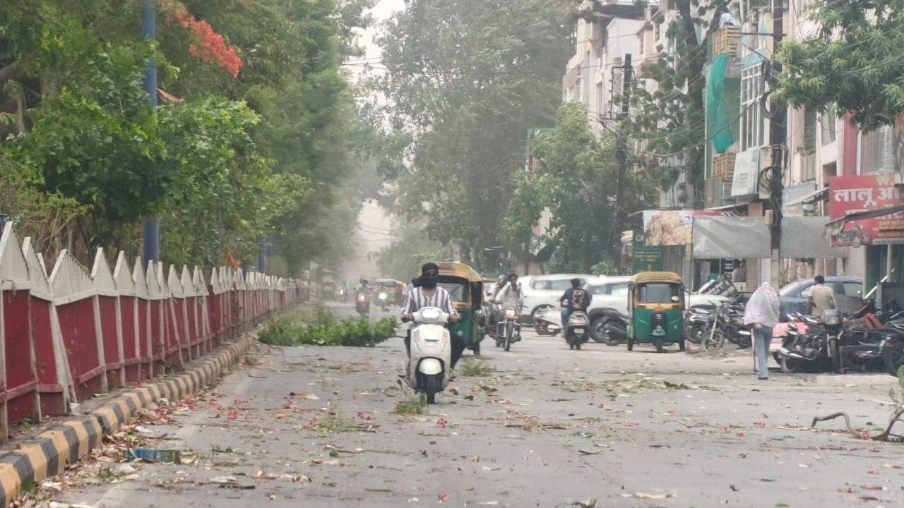 आंधी में शहर की सड़कों पर गिरे पेड़।