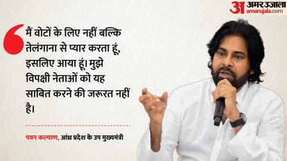 आंध्र प्रदेश के उप मुख्यमंत्री पवन कल्याण।