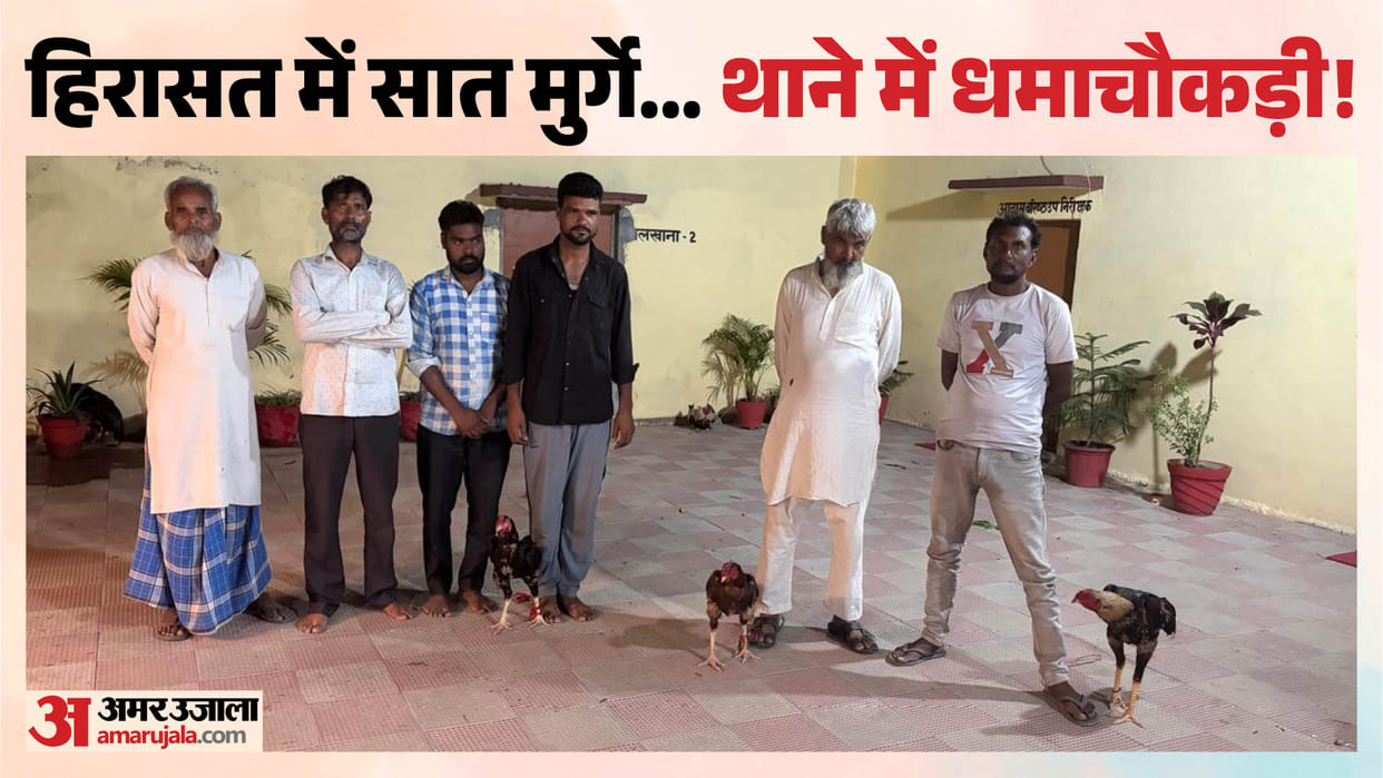 Six people arrested in Bareilly for betting on cockfights seven roosters also in police custody