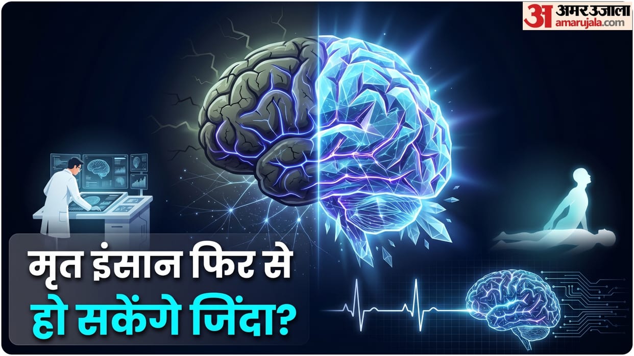 Scientists preserve entire pig brain news chances of reanimation after death know details trending news
