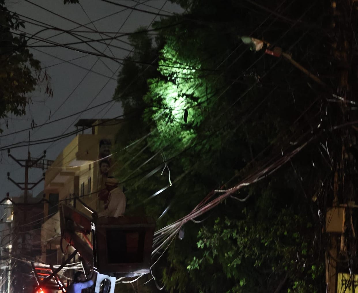 Indore: Bees blocked the power supply to the minister-MLA's house, removed a tree branch near the hive and ill