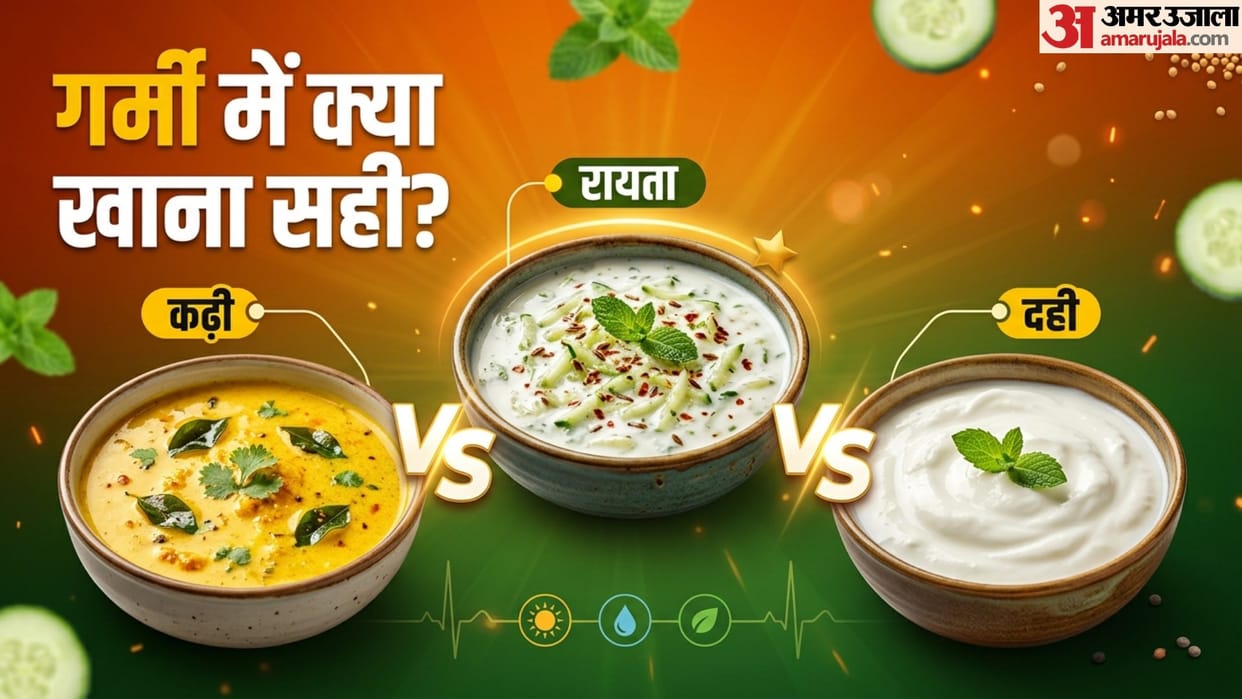 Kadhi vs Raita vs Curd Best Cooling Food In Summer Diet Tips Disprj