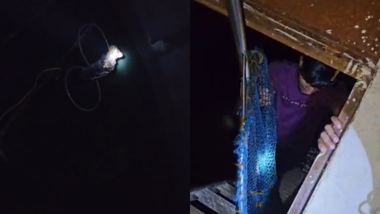 Monkey Rescued from Jal Jeevan Mission Tank in Budaun