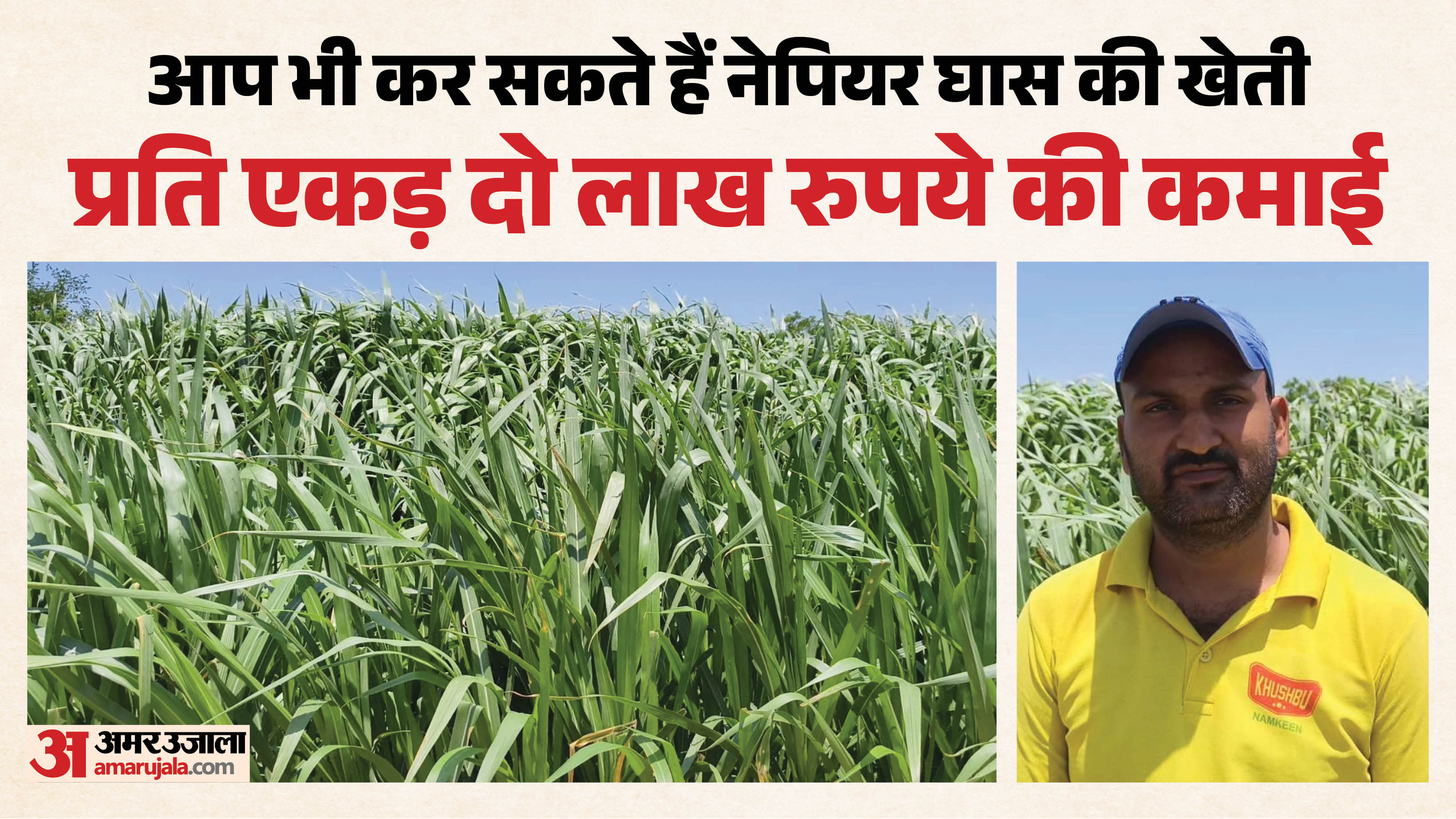 Farmer Turns YouTube Learning Into Profitable Napier Grass Farming Venture