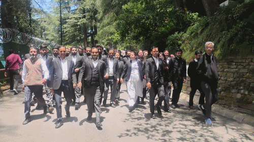 Shimla News Advocates Insist on CM Stepping Out to Talk Protests Continue Outside Secretaria Know the Dispute