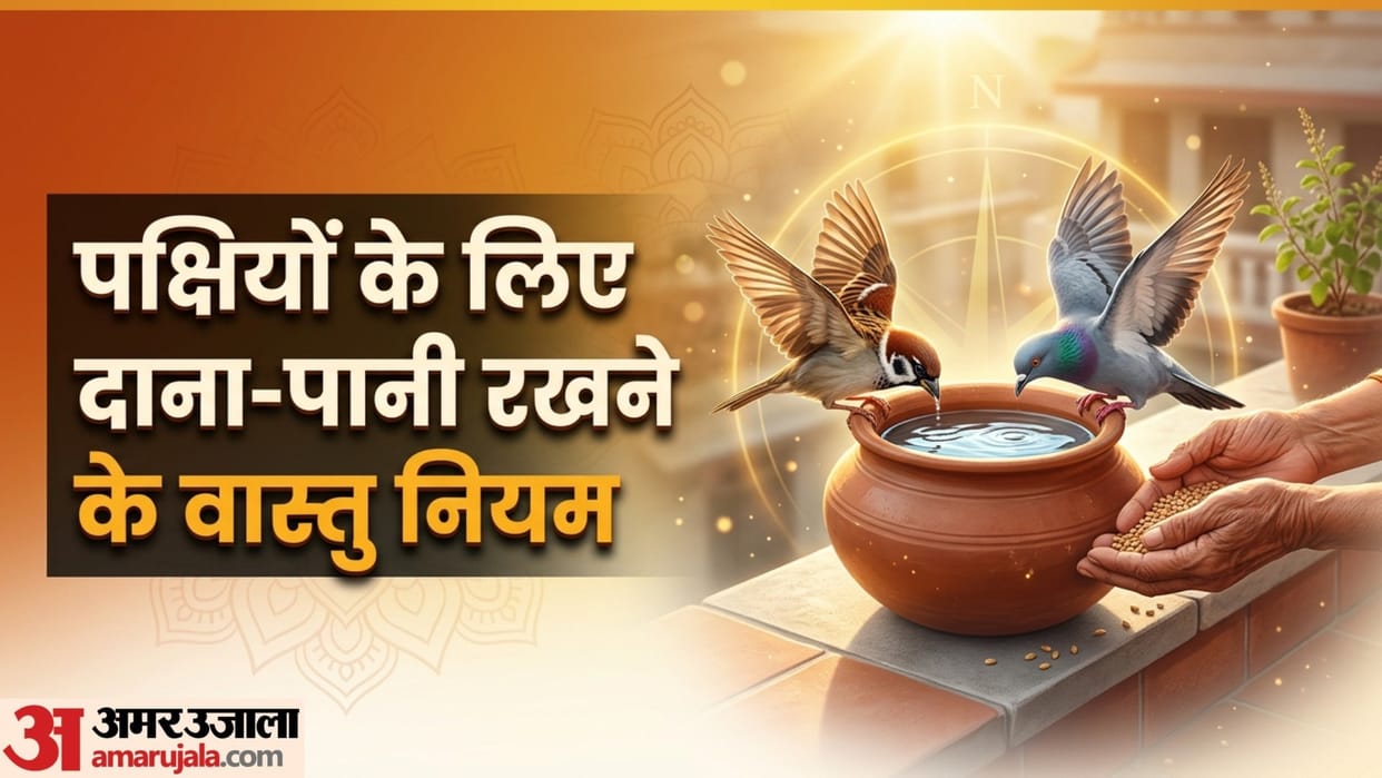 Bird Feeding Astrology Rules dana pani rakhne ke niyam shani rahu ketu ka milega shubh prabhav