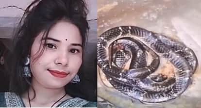 Kota Snakebite Tragedy 27-Year-Old Engaged Woman Dies After Venomous Krait Bites Her