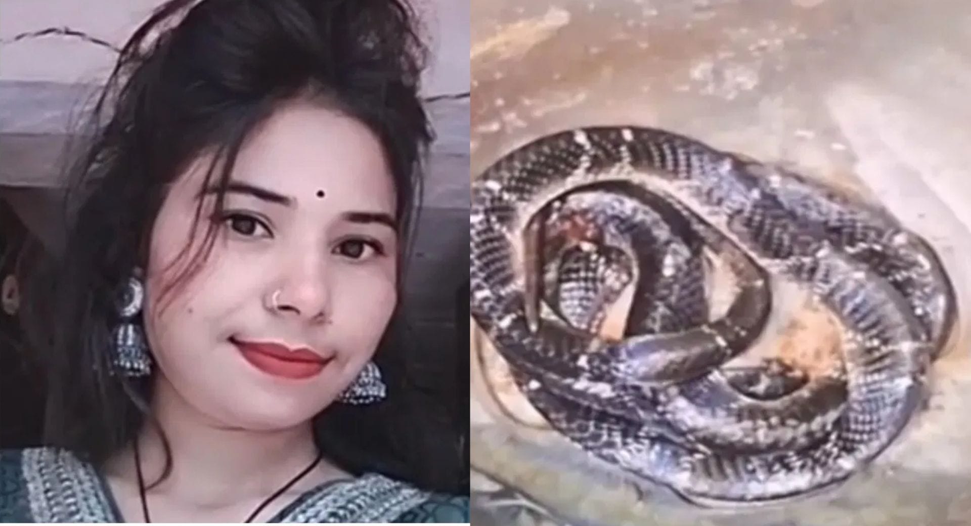 जहरीले सांप के काटने से युवती की हुई मौत