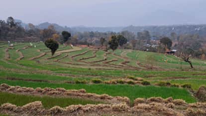 Save the Fields Campaign to be Launched in Himachal Pradesh