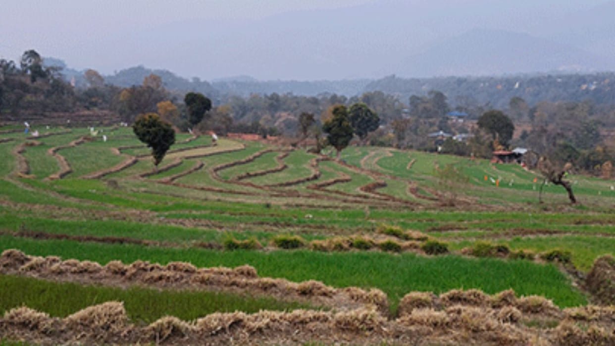 Save the Fields Campaign to be Launched in Himachal Pradesh