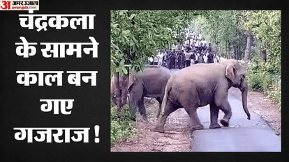 woman died after being attacked by an elephant in Raigarh