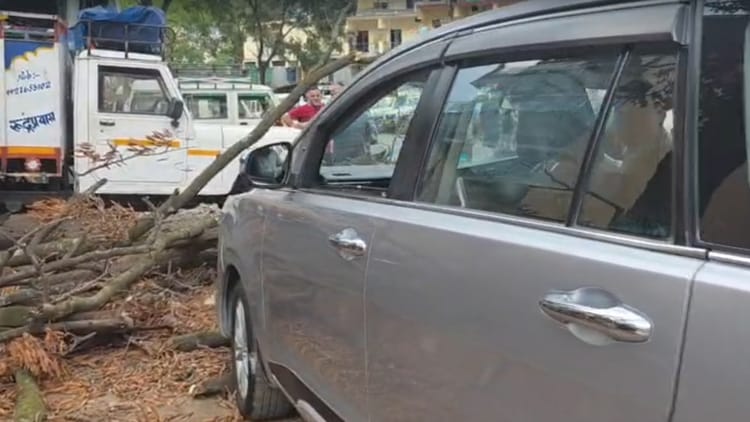 Rudraprayag: जन कल्याण अस्पताल के पास बीकेटीसी उपाध्यक्ष की कार पर गिरा विशालकाय पेड़, बाल-बाल बचे