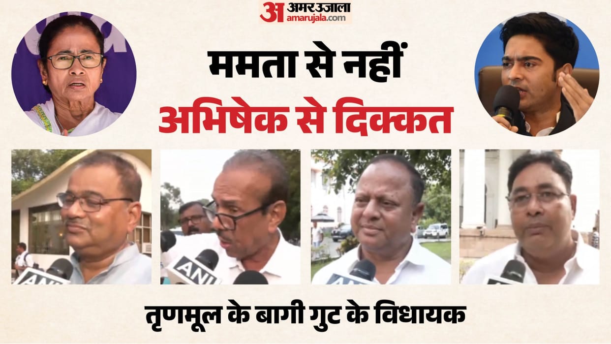 MLA from Rebel TMC Faction Says Mamata Our Leader  No Split in Party we are not Rebellion is Democratic Battle